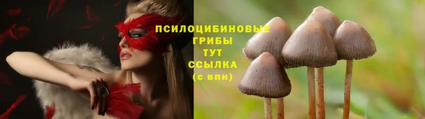 эйфоретик Белоозёрский
