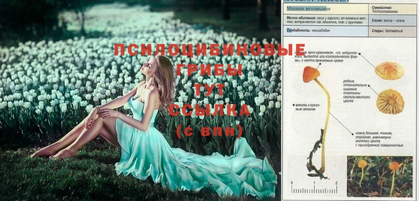 таблы Белокуриха