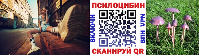 Купить где  Верхняя Салда  Псилоцибиновые грибы мухоморы 